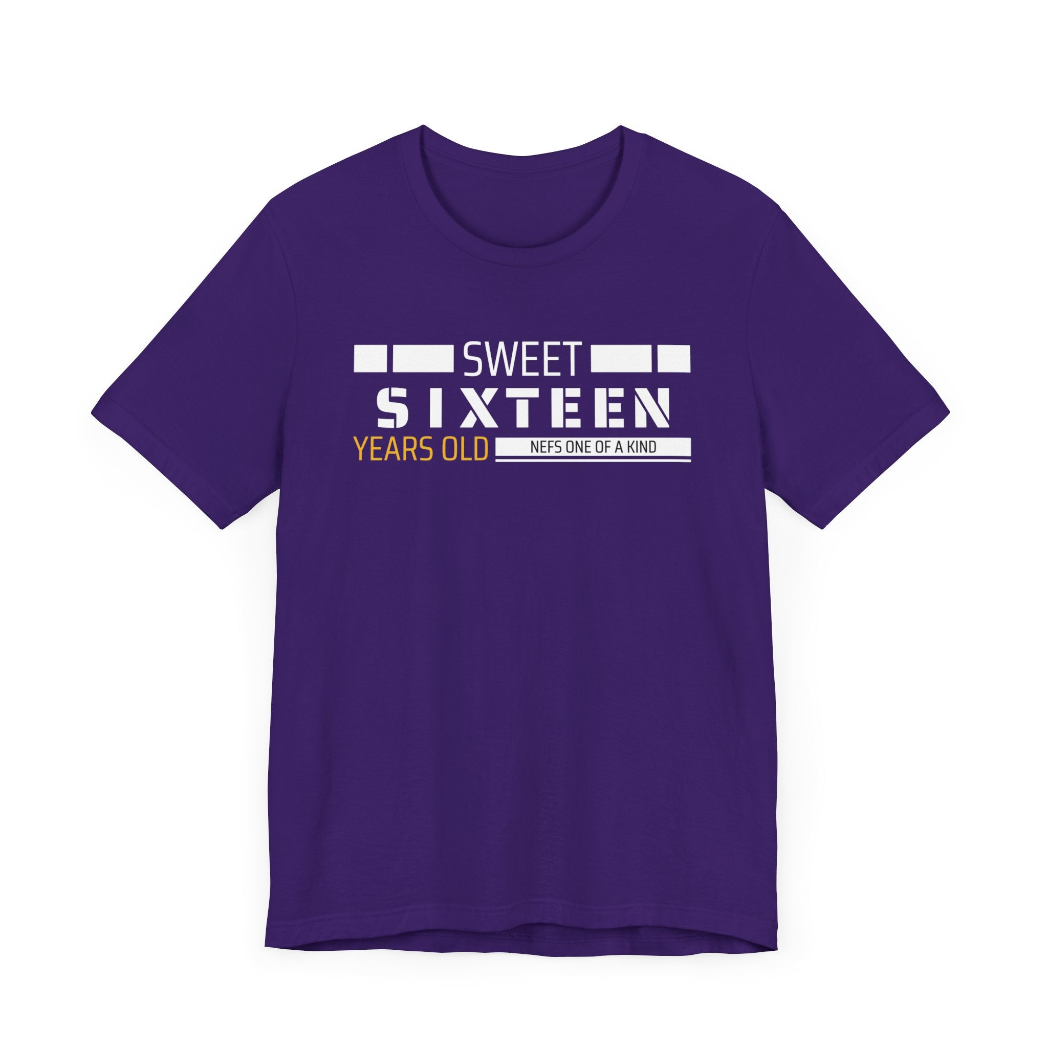 Sixteen year old Unisex Adult Tee